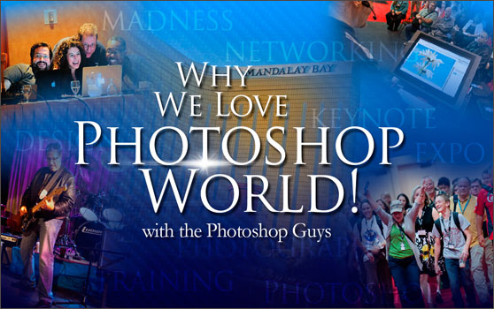 welovepsw