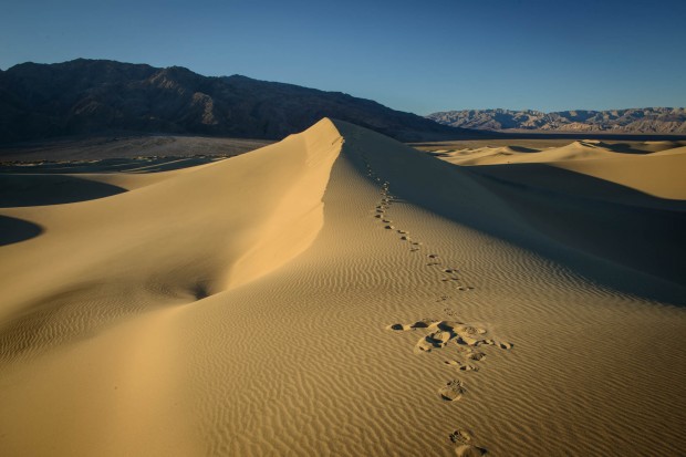 deathvalley23