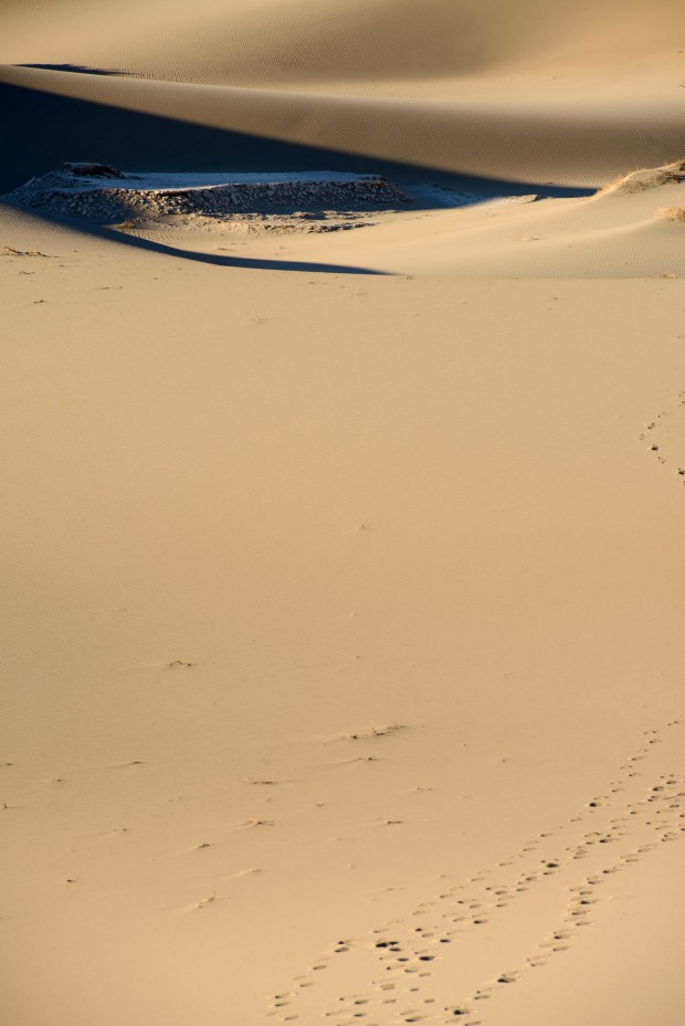 deathvalley24